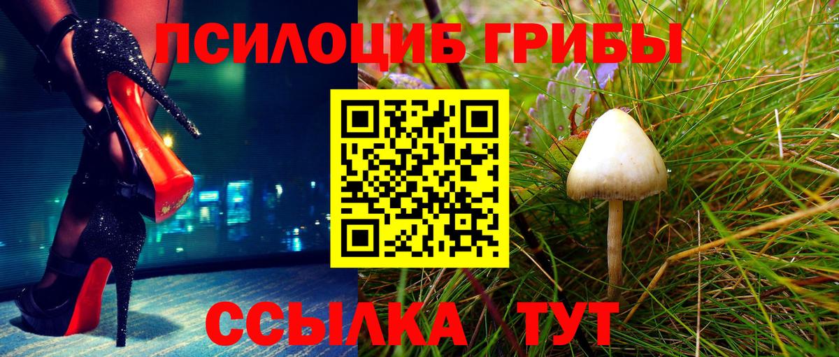 Псилоцибиновые грибы Энгельс