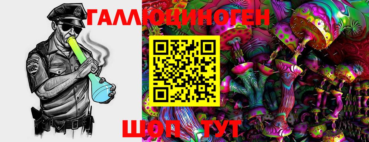 Галлюциногенные грибы MAGIC MUSHROOMS  Вход с VPN  Псилоцибиновые грибы Cubensis  Энгельс 